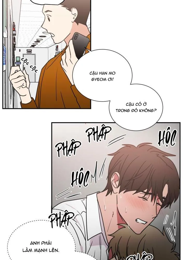 Mâu thuẫn và tương phản Chapter 64 Trang 14