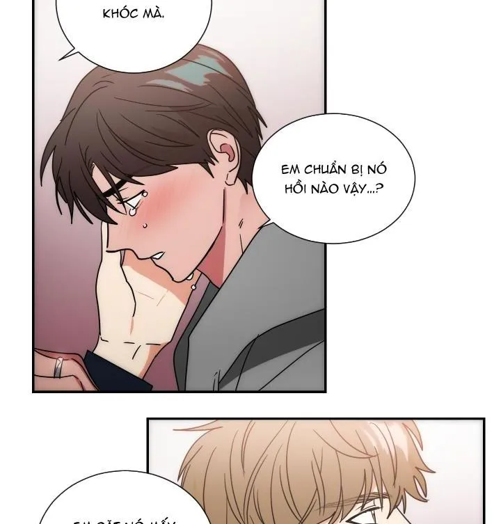 Mâu thuẫn và tương phản Chapter 65 Trang 3