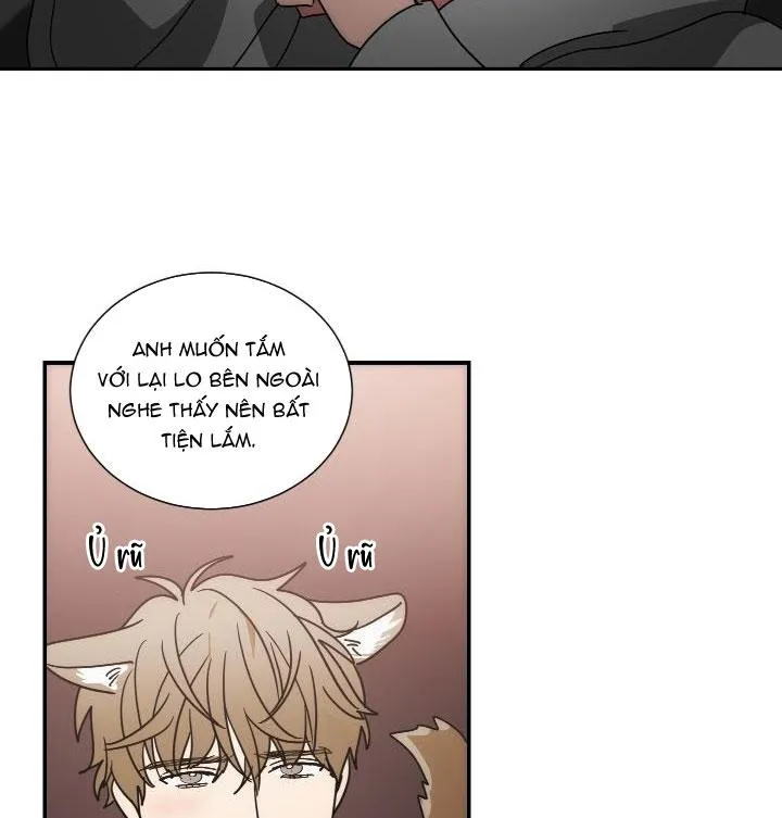 Mâu thuẫn và tương phản Chapter 65 Trang 8