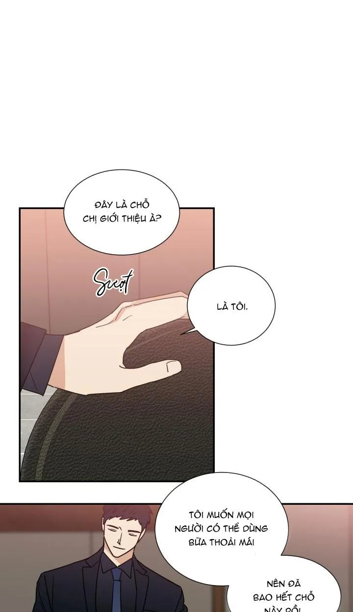 Mâu thuẫn và tương phản Chapter 65 Trang 28