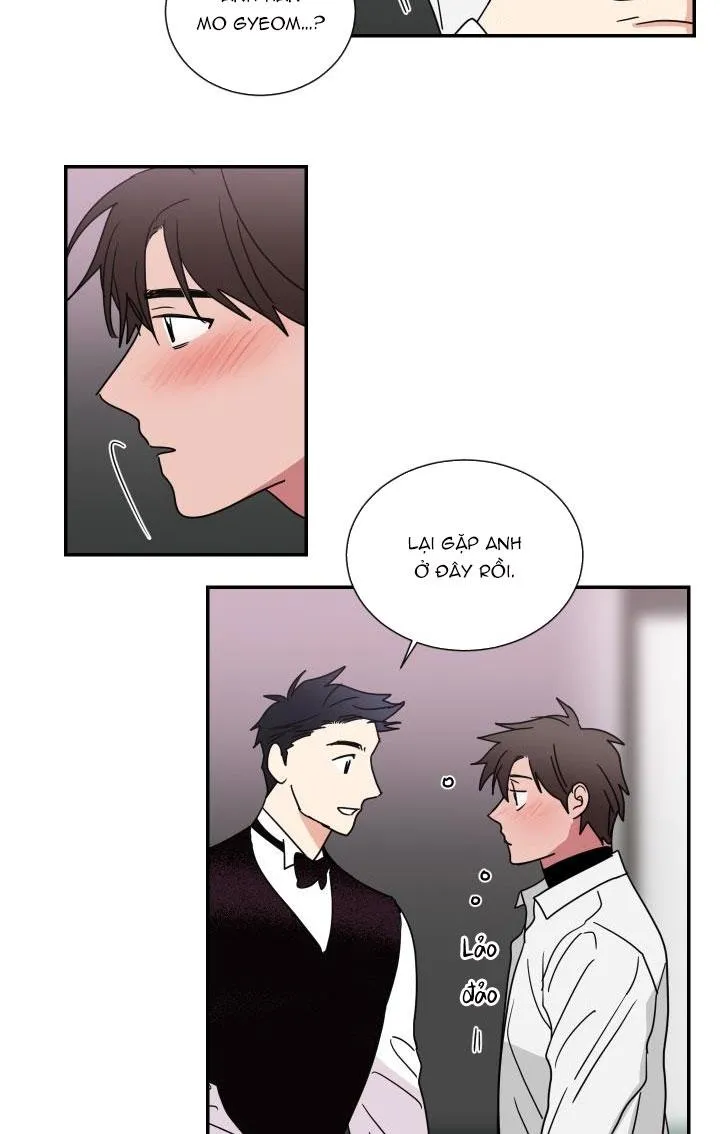 Mâu thuẫn và tương phản Chapter 65 Trang 34