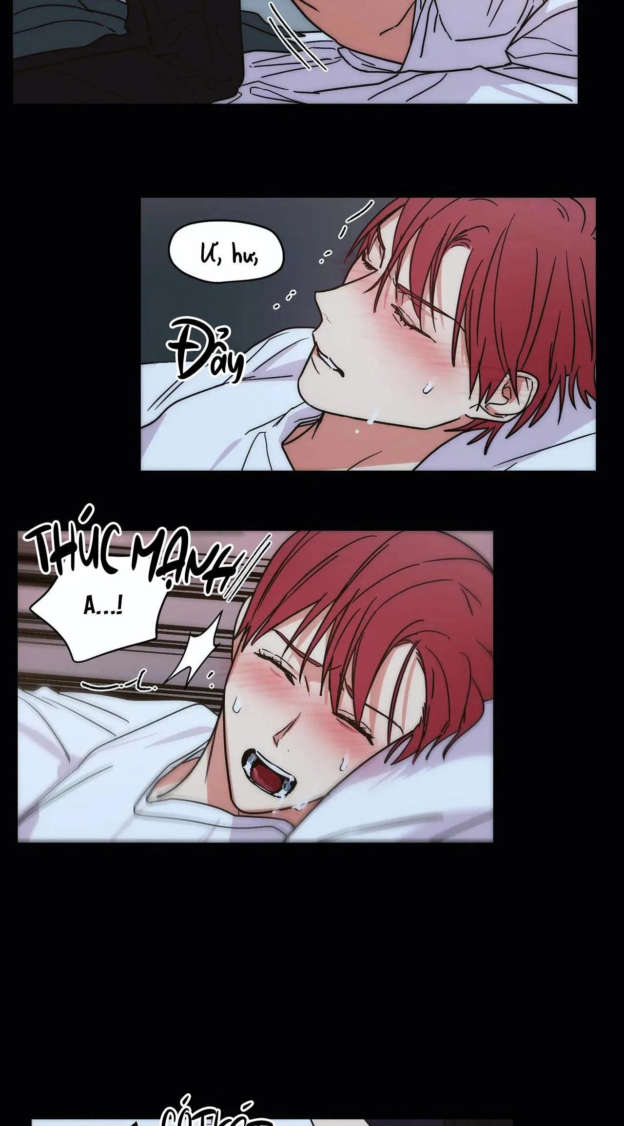 Mâu thuẫn và tương phản Chapter 70 Trang 15