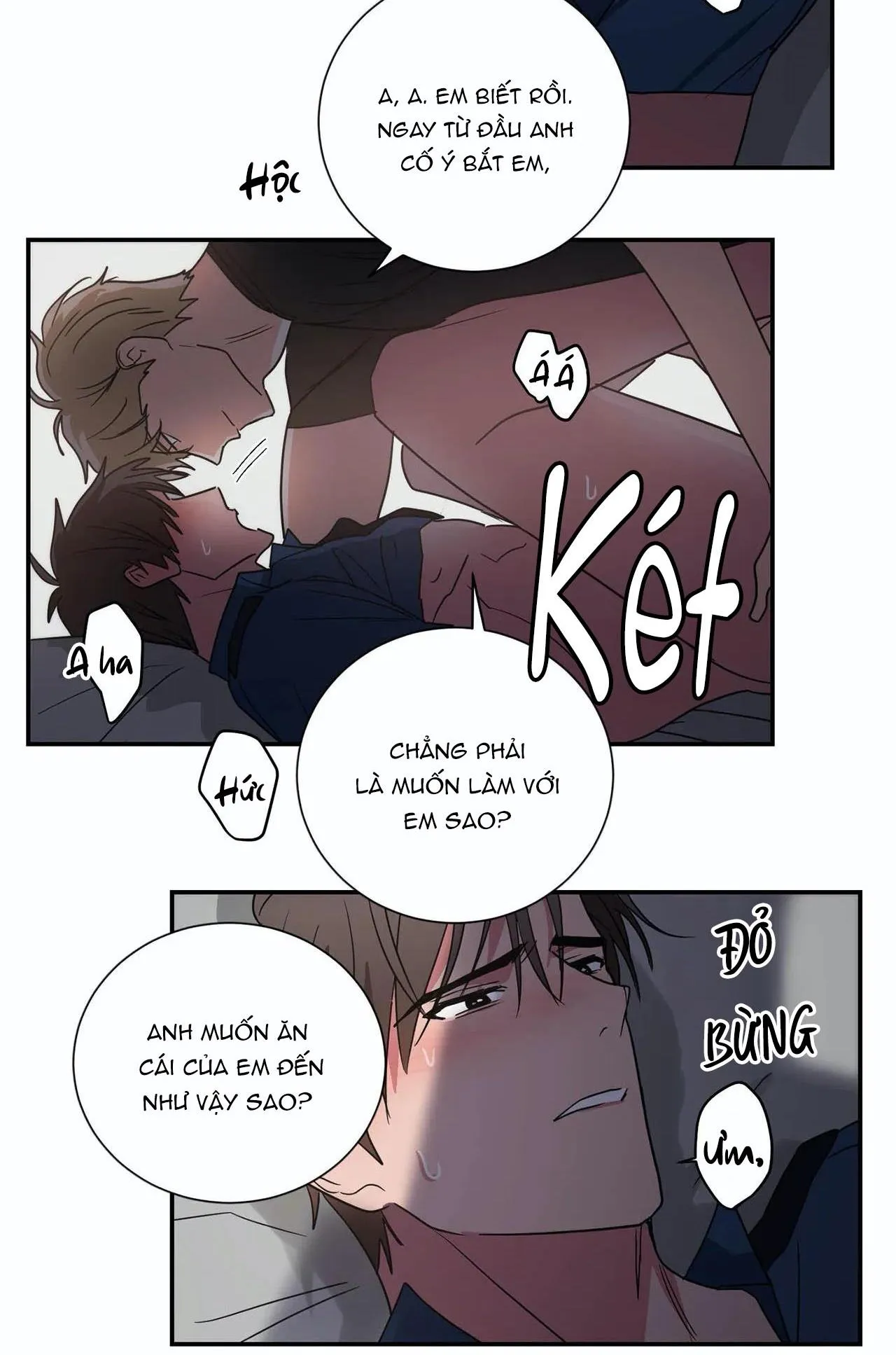 Mâu thuẫn và tương phản Chapter 79 Trang 13