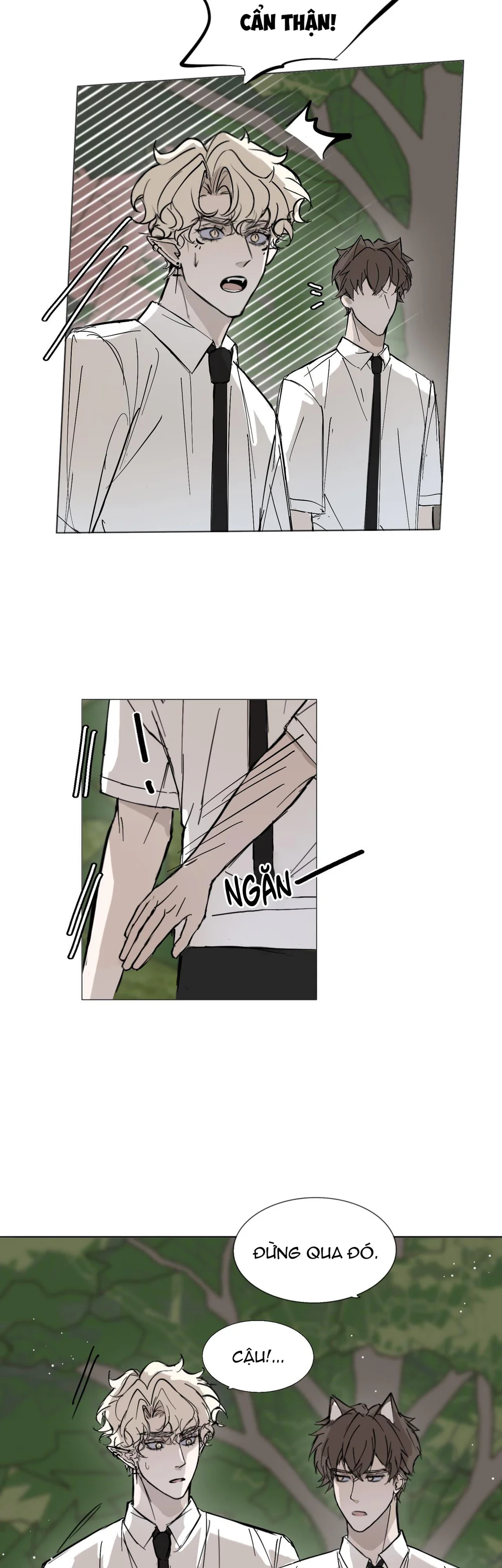 Máu Và Sói Chapter 16 Trang 17