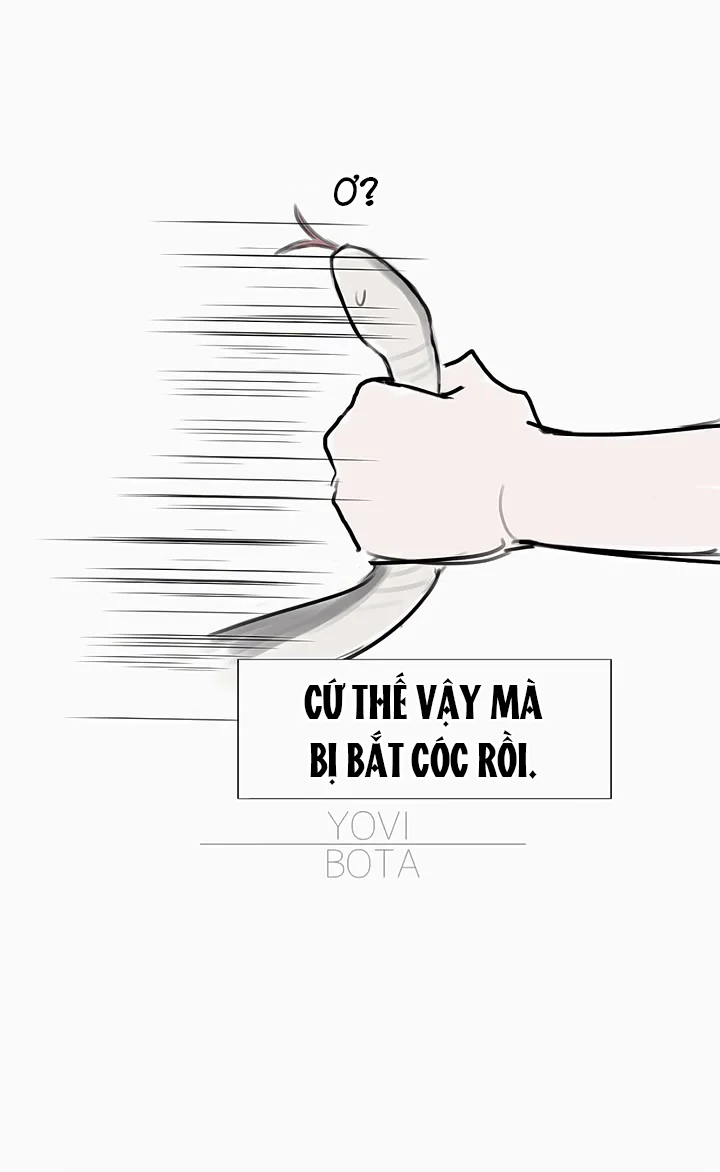 Máu Và Sói Chapter 17 Trang 6
