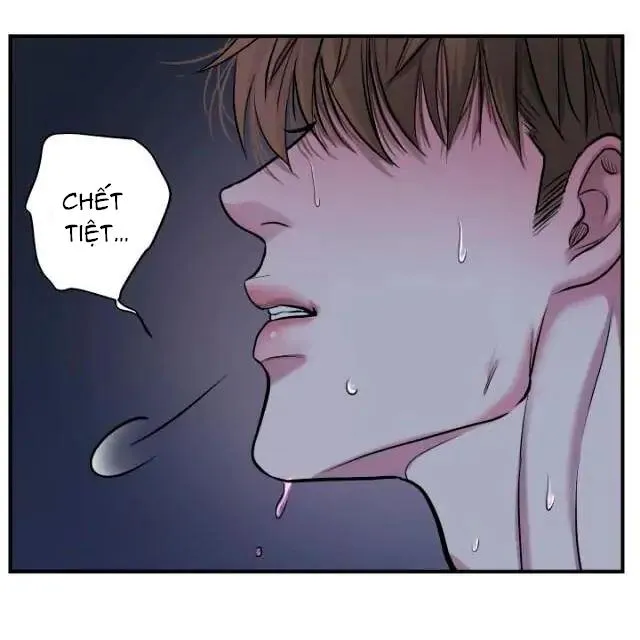 Mày đã bao giờ chứng kiến bạo lực học đường chưa? Chapter 1 Trang 114