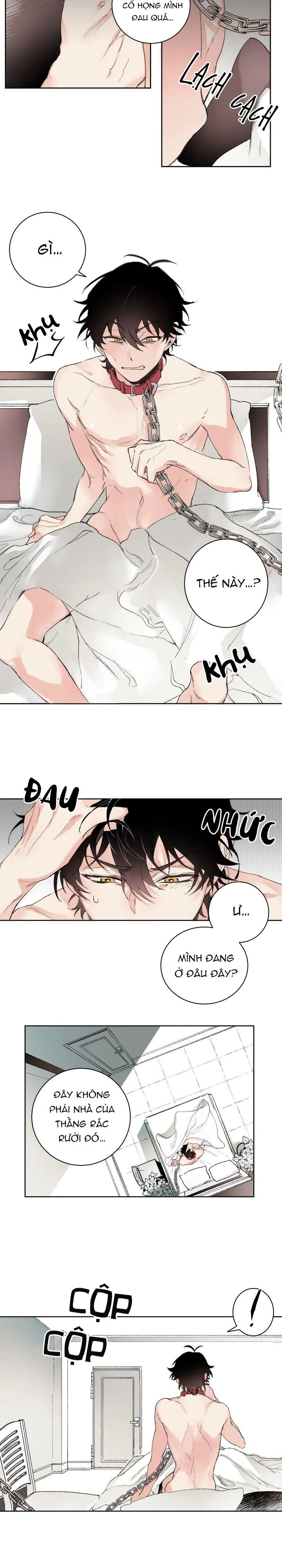 May Belongs To Me Chapter 1 Trang 8