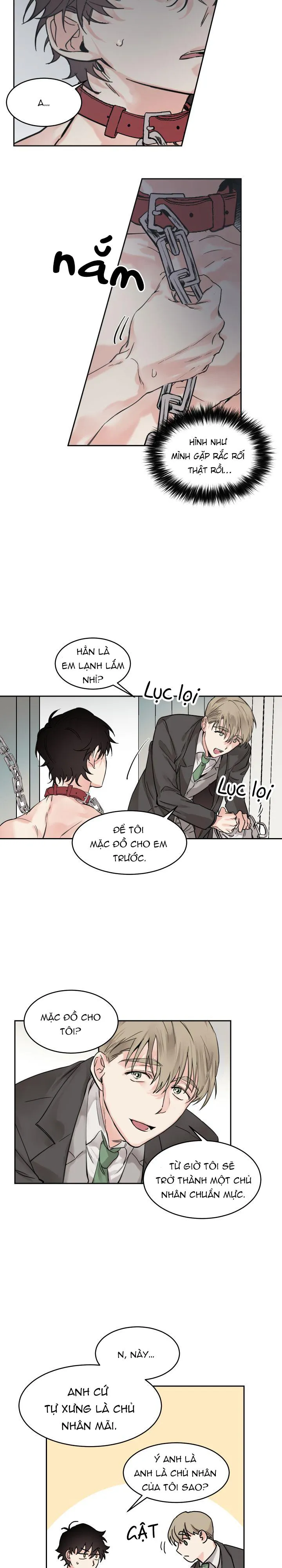 May Belongs To Me Chapter 2 Trang 13