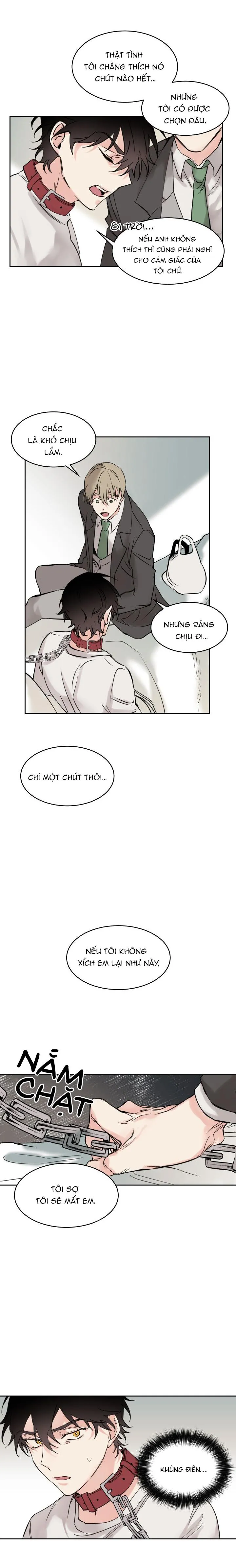 May Belongs To Me Chapter 3 Trang 11