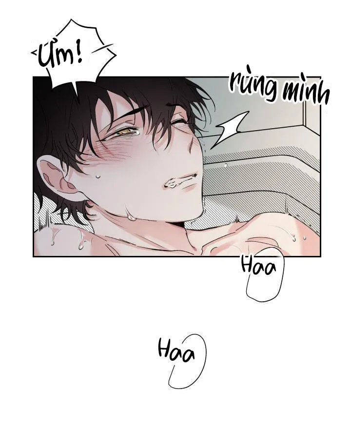 May Belongs To Me Chapter 5 Trang 4