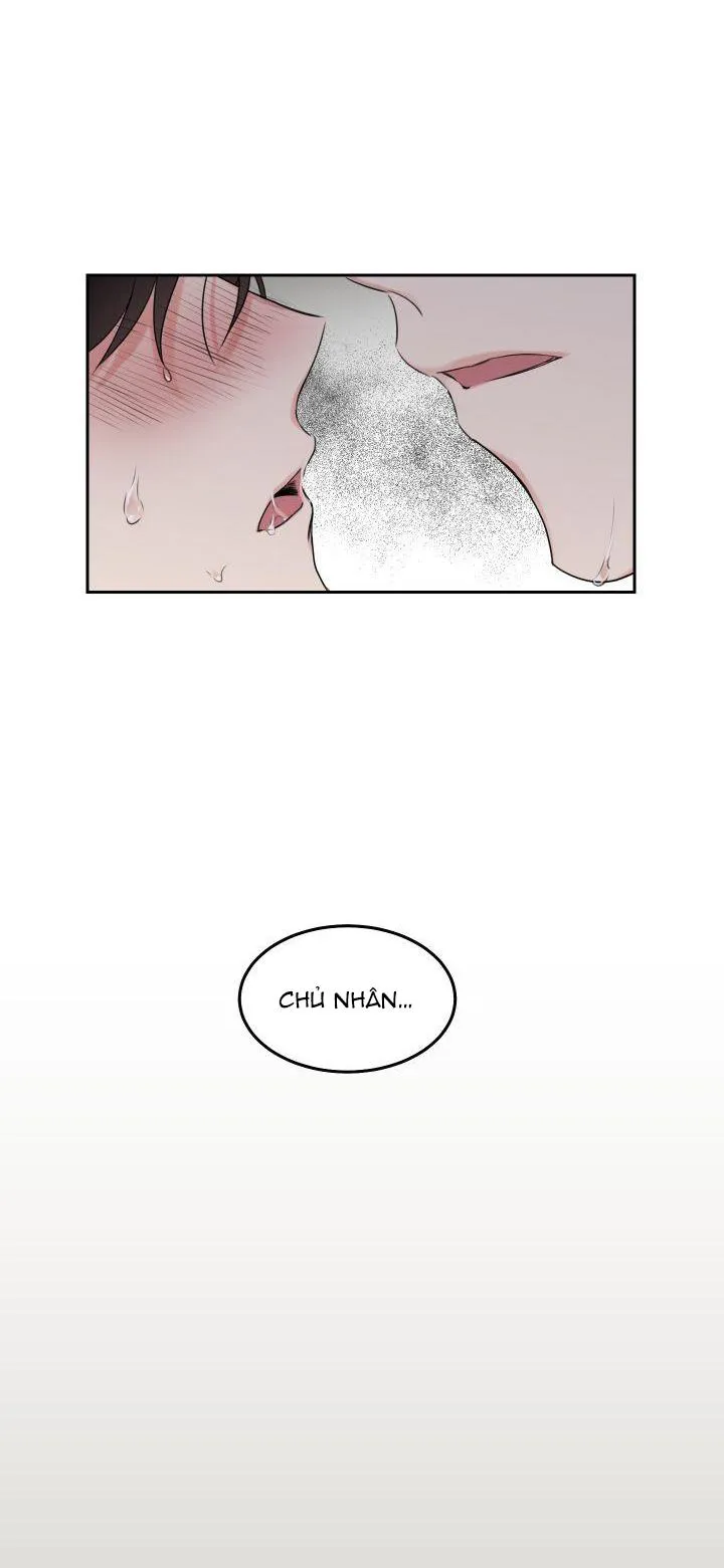 May Belongs To Me Chapter 5 Trang 15