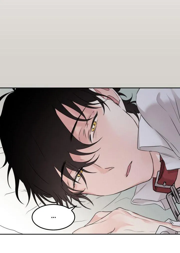 May Belongs To Me Chapter 5 Trang 16