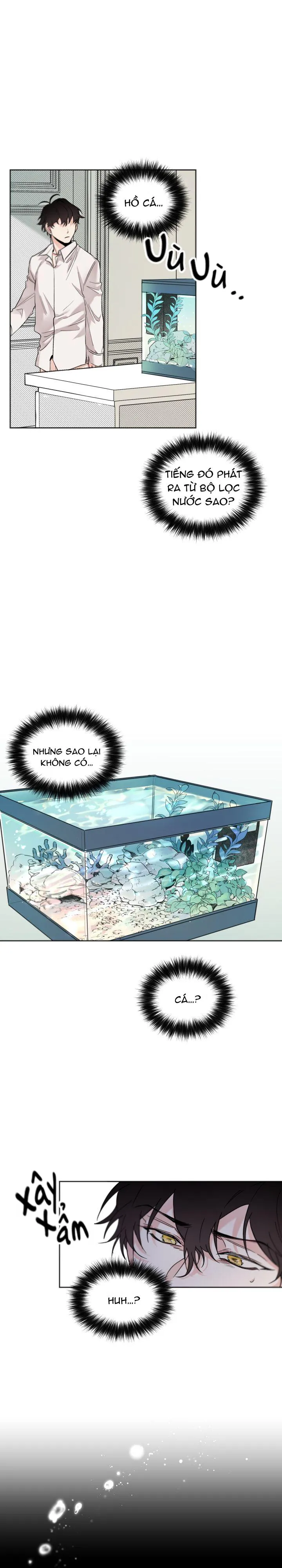 May Belongs To Me Chapter 6 Trang 5