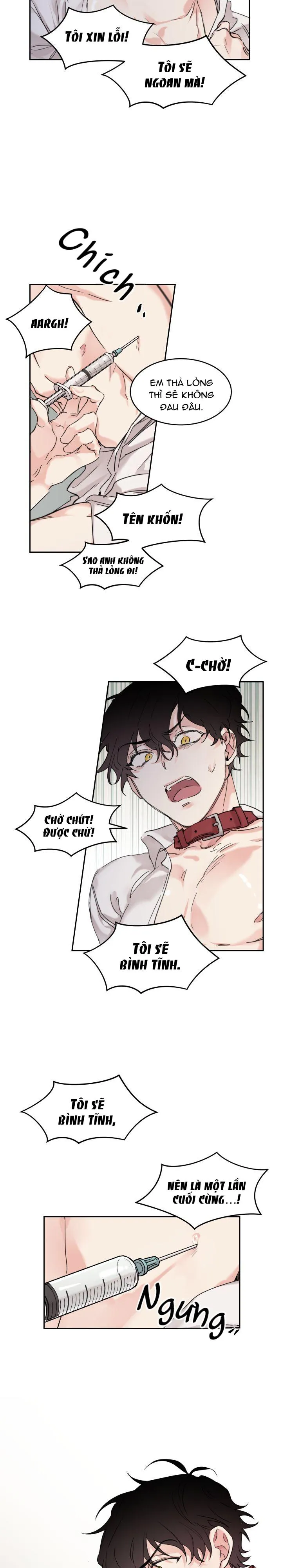 May Belongs To Me Chapter 6 Trang 15