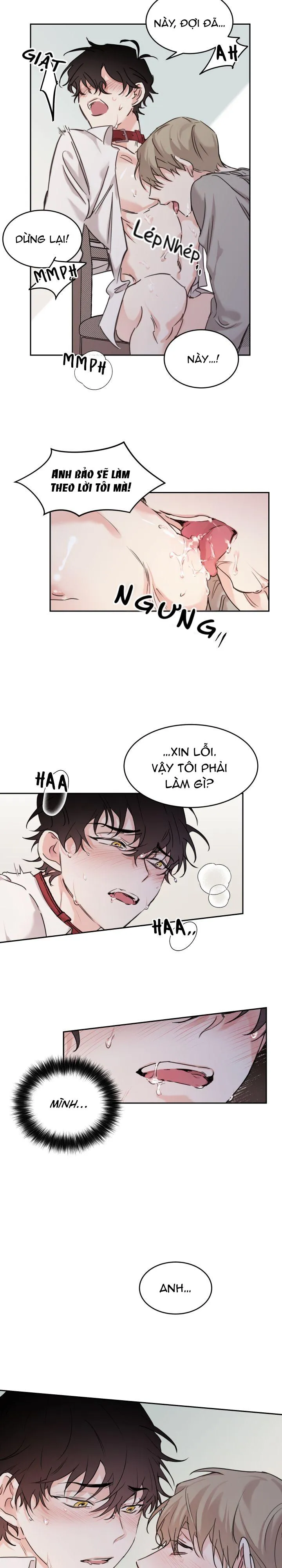 May Belongs To Me Chapter 7 Trang 15