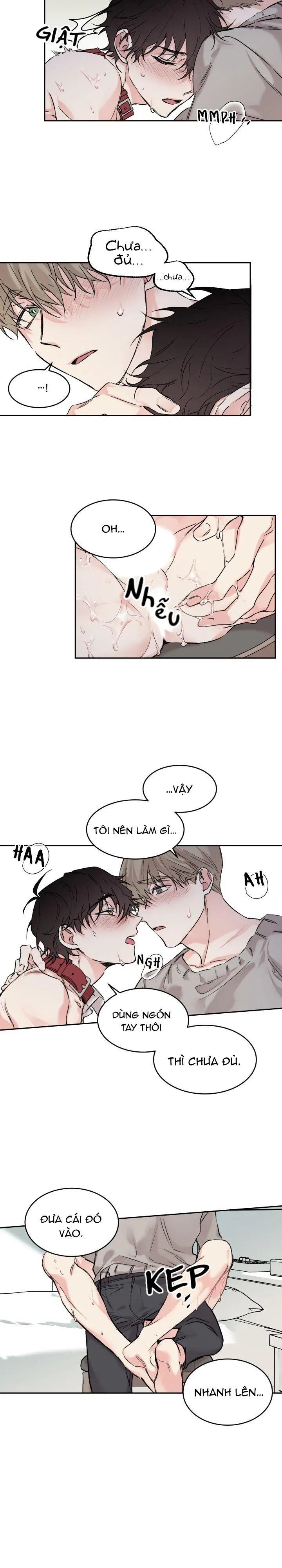 May Belongs To Me Chapter 8 Trang 5