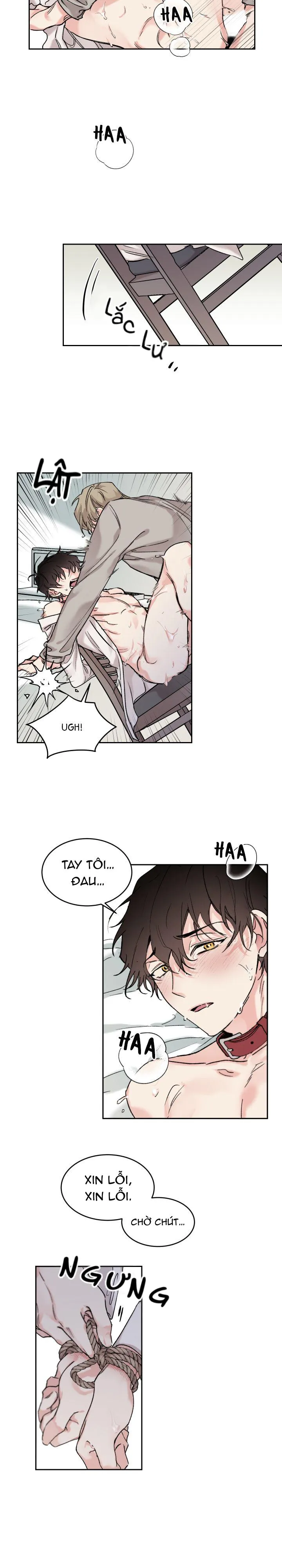 May Belongs To Me Chapter 8 Trang 8