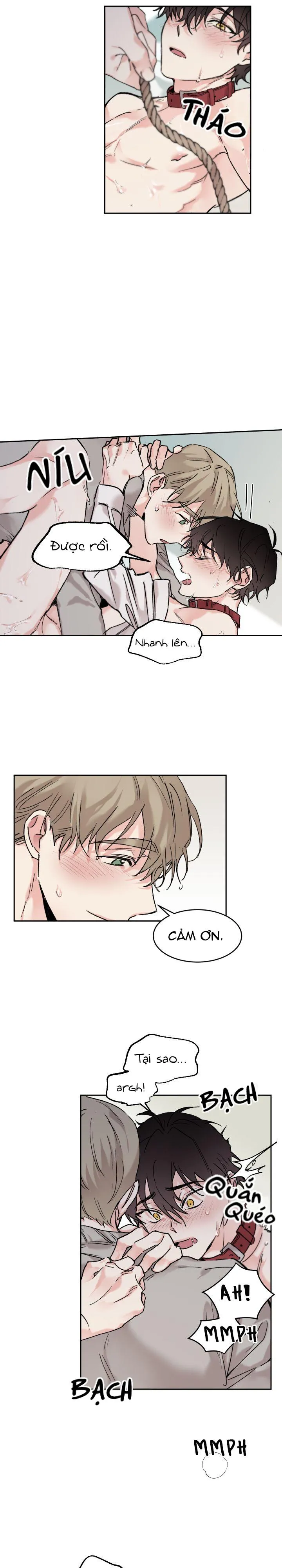 May Belongs To Me Chapter 8 Trang 9