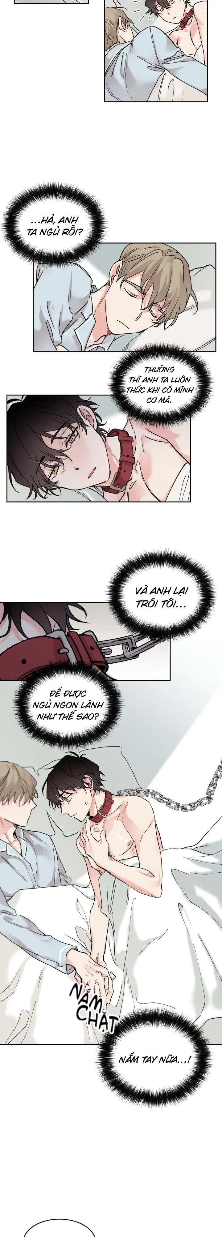 May Belongs To Me Chapter 8 Trang 11