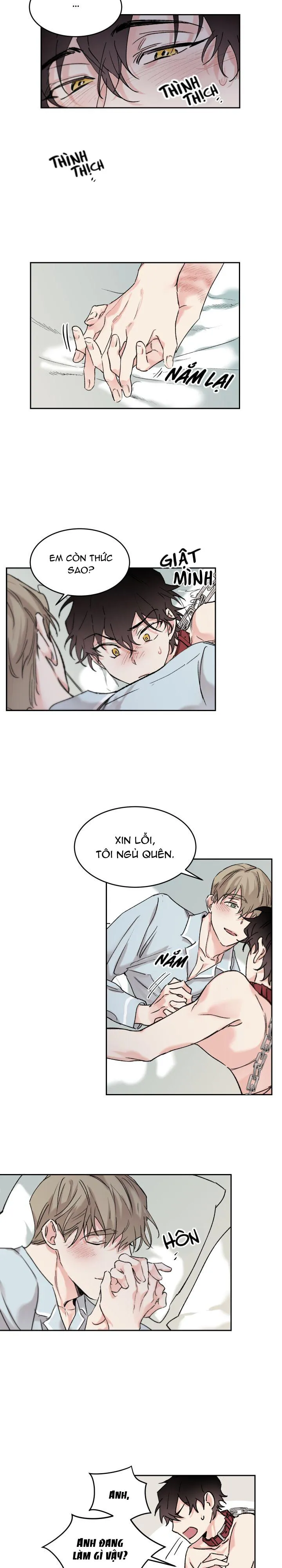 May Belongs To Me Chapter 8 Trang 12