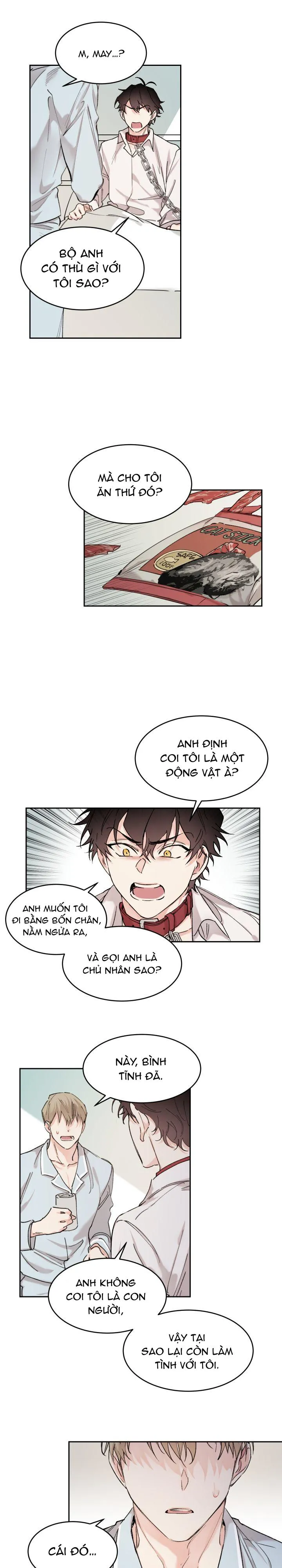 May Belongs To Me Chapter 9 Trang 11