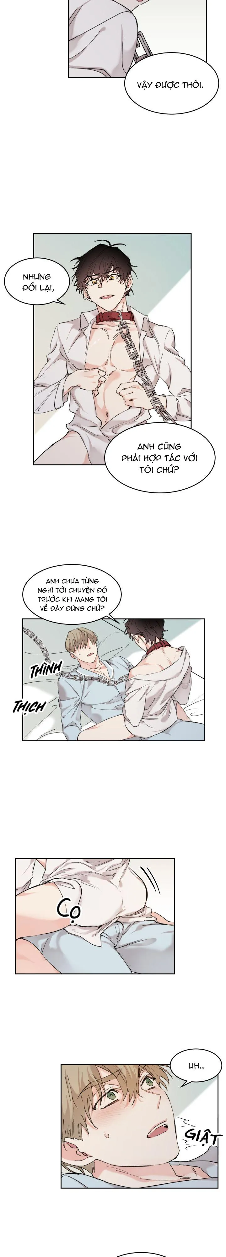 May Belongs To Me Chapter 9 Trang 14