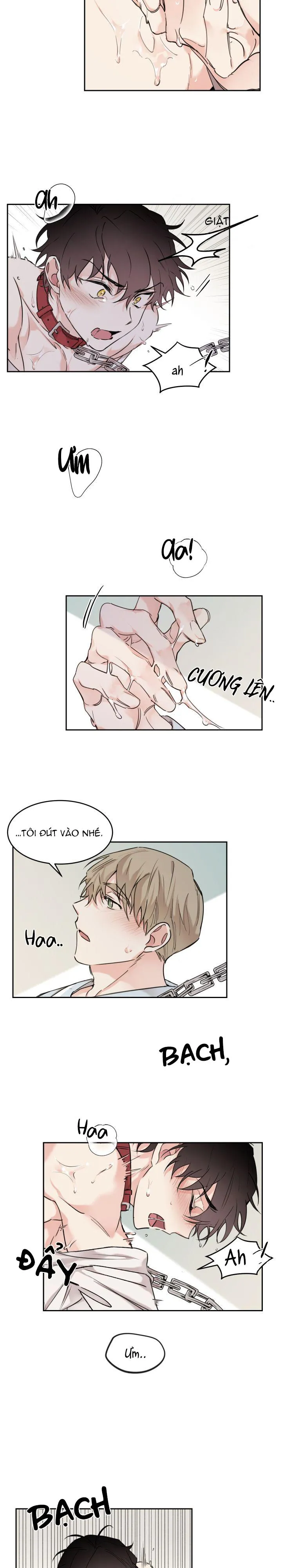 May Belongs To Me Chapter 10 Trang 4