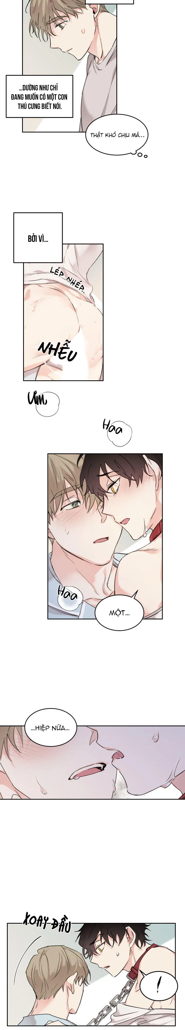 May Belongs To Me Chapter 10 Trang 8