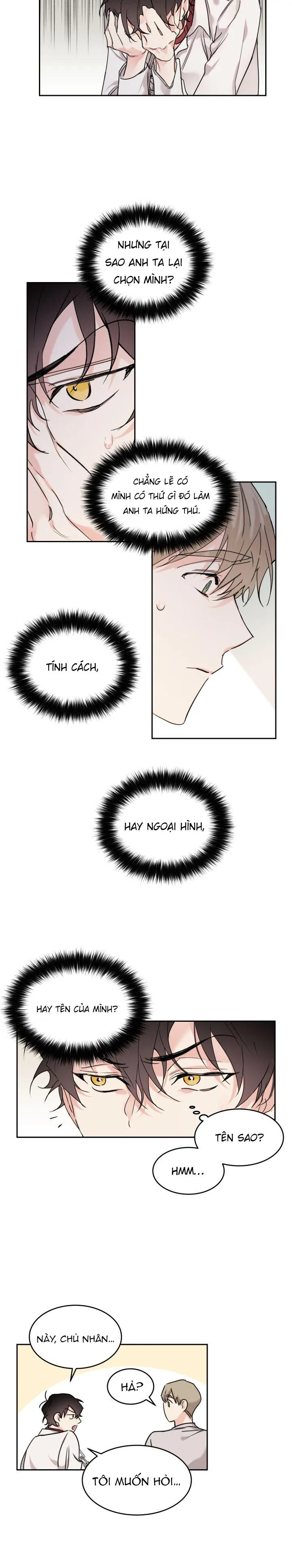 May Belongs To Me Chapter 10 Trang 11