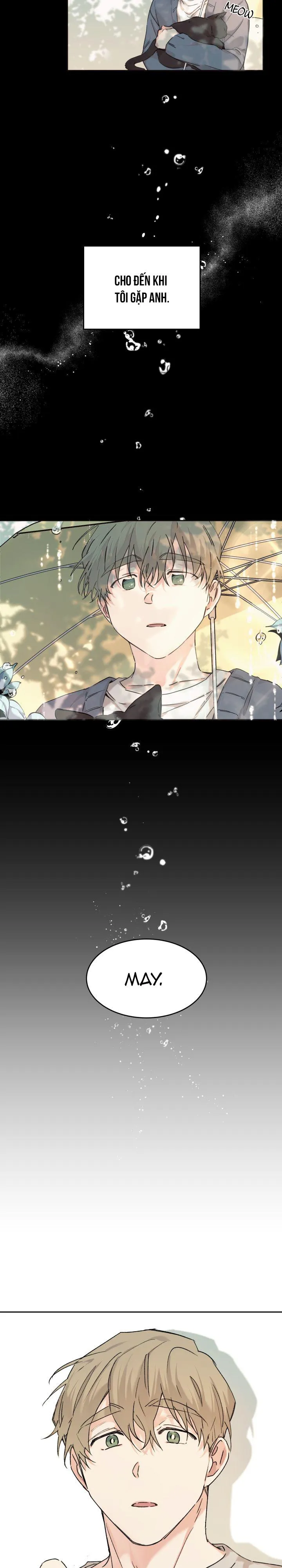 May Belongs To Me Chapter 11 Trang 6