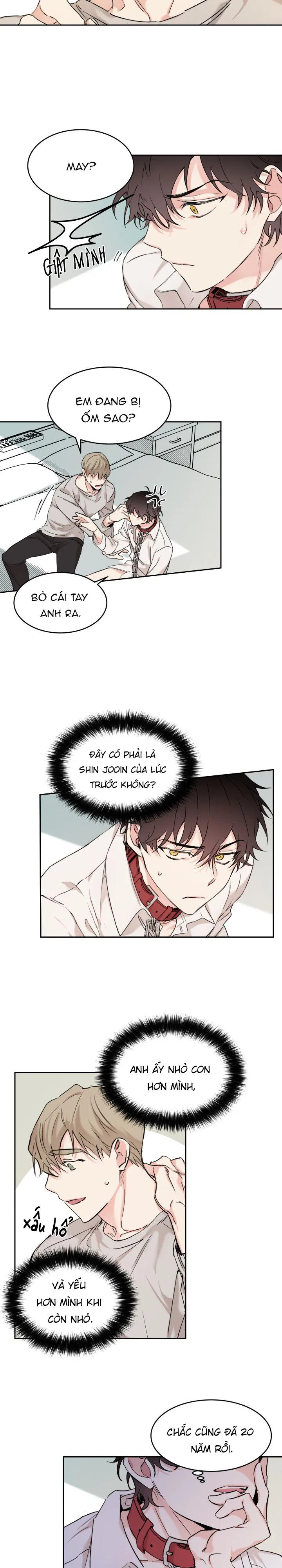 May Belongs To Me Chapter 11 Trang 7