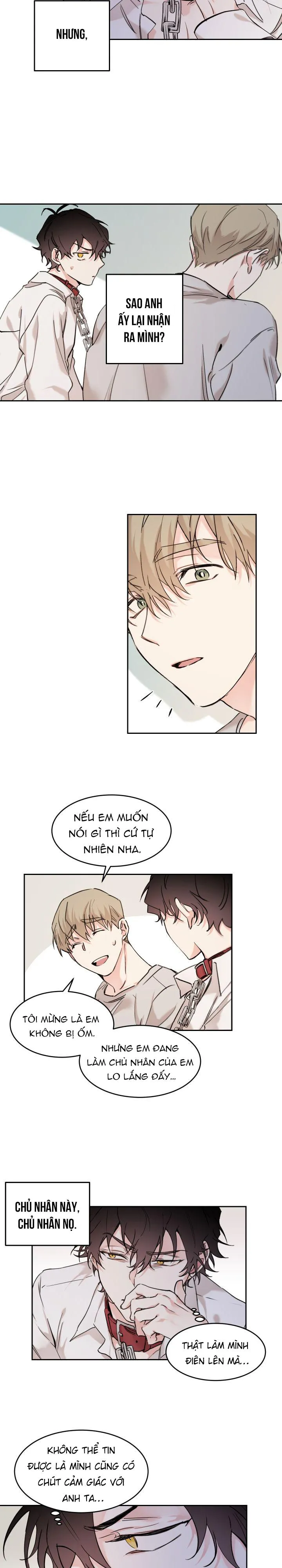 May Belongs To Me Chapter 11 Trang 8