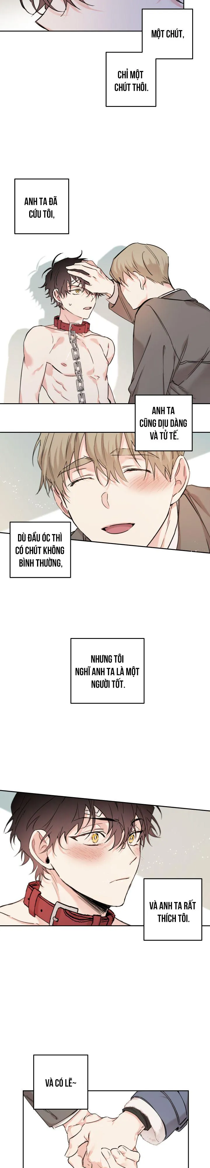 May Belongs To Me Chapter 11 Trang 9