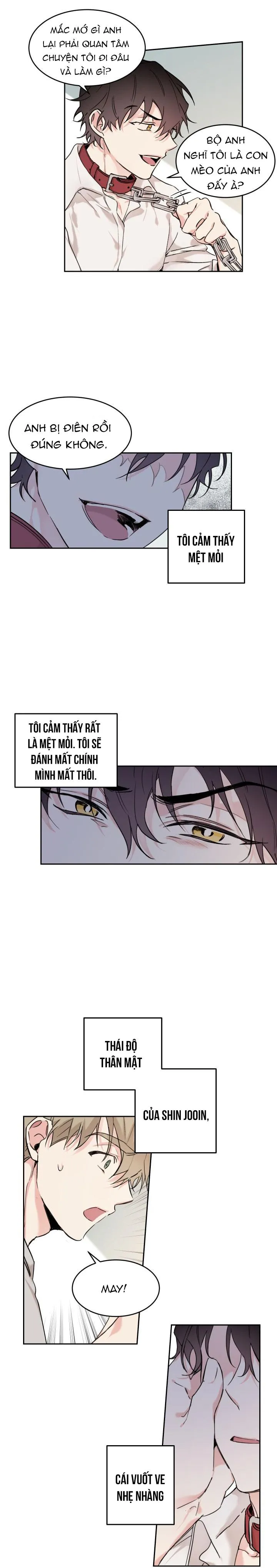 May Belongs To Me Chapter 11 Trang 14