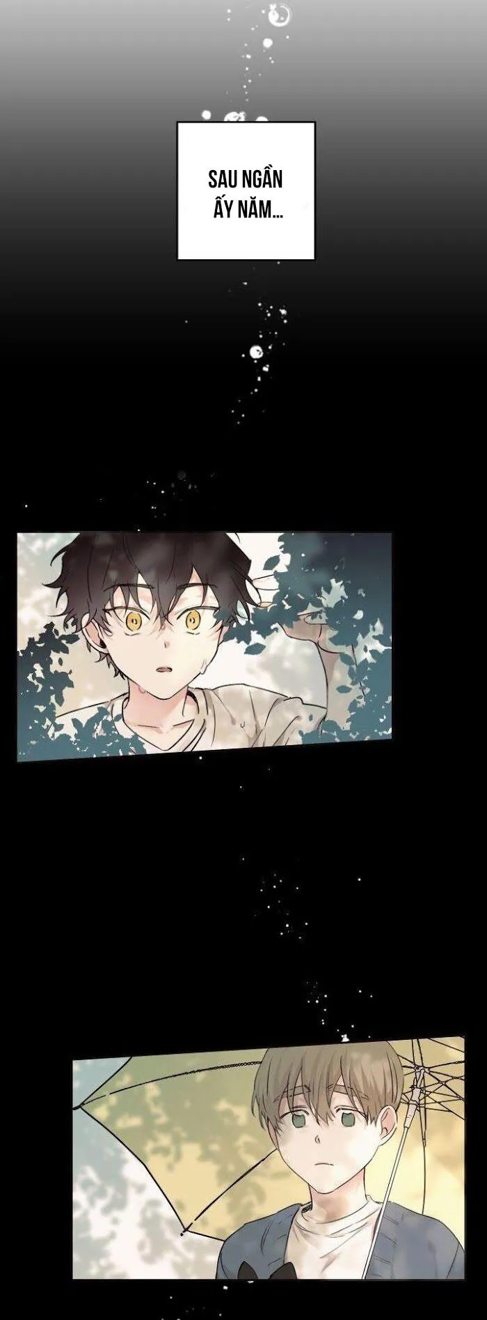 May Belongs To Me Chapter 12 Trang 5