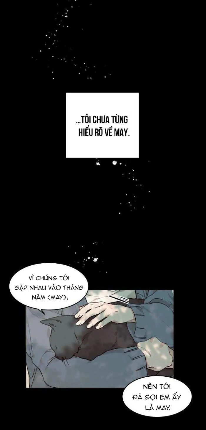 May Belongs To Me Chapter 12 Trang 6