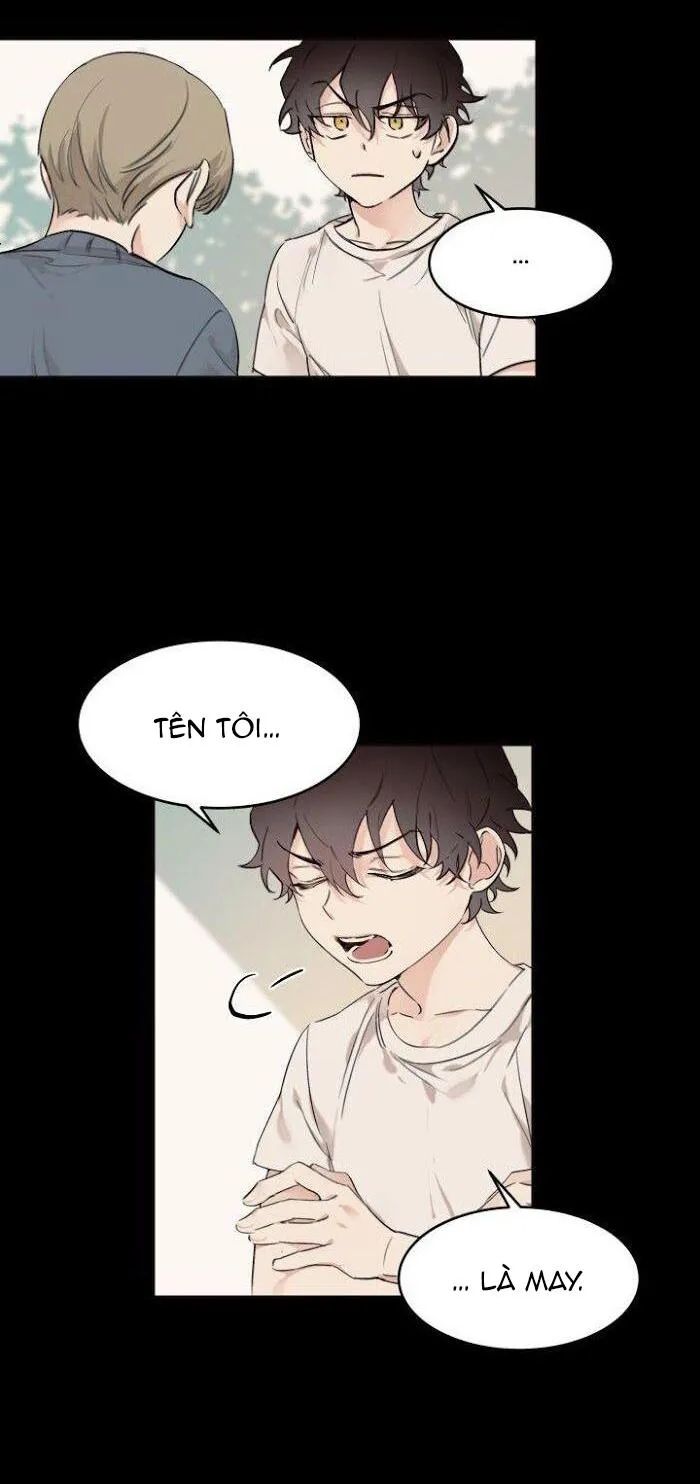 May Belongs To Me Chapter 12 Trang 8