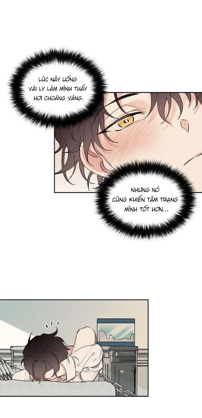 May Belongs To Me Chapter 12 Trang 22