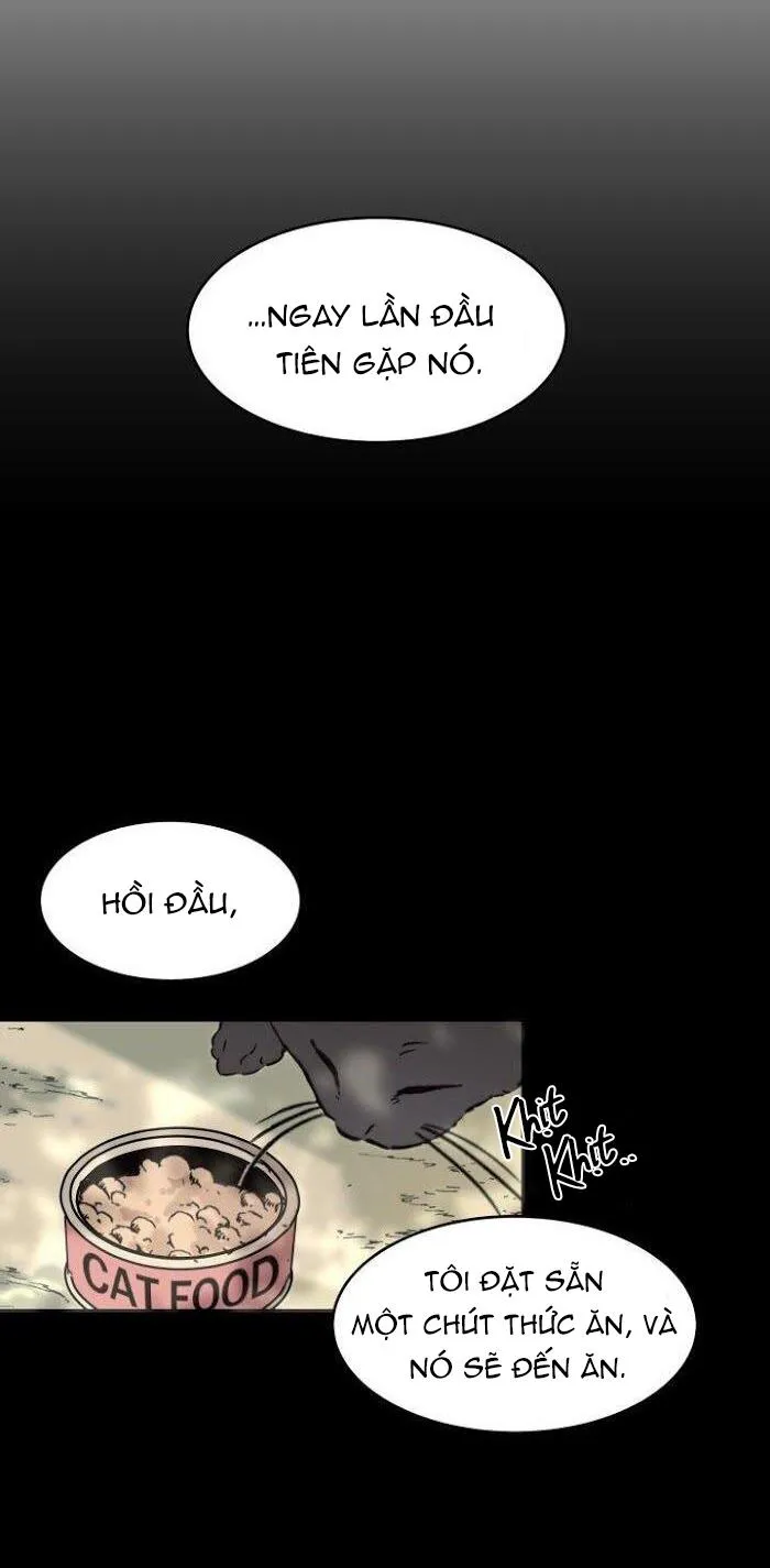 May Belongs To Me Chapter 12 Trang 26