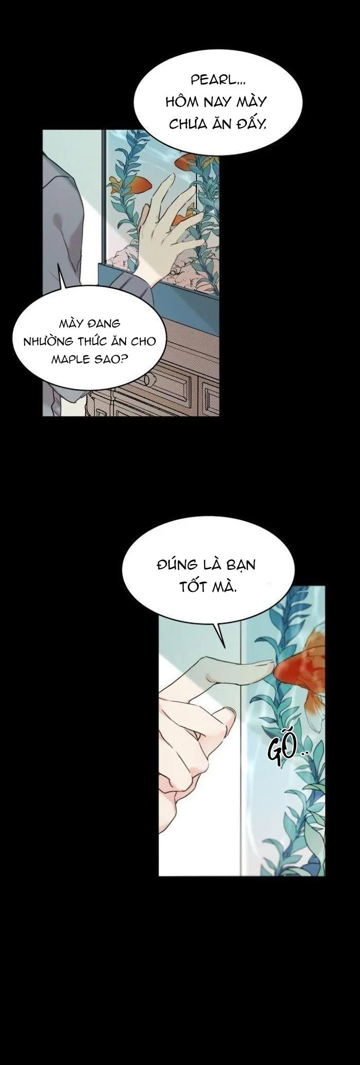 May Belongs To Me Chapter 13 Trang 9