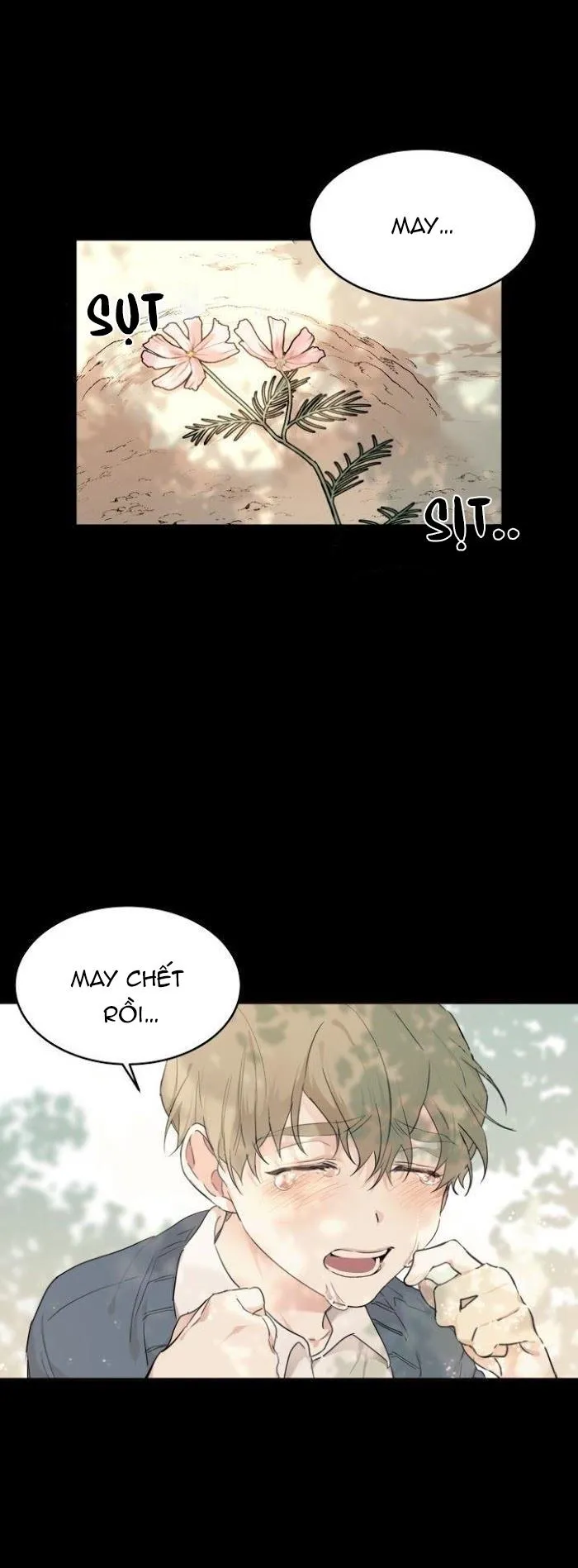 May Belongs To Me Chapter 13 Trang 15