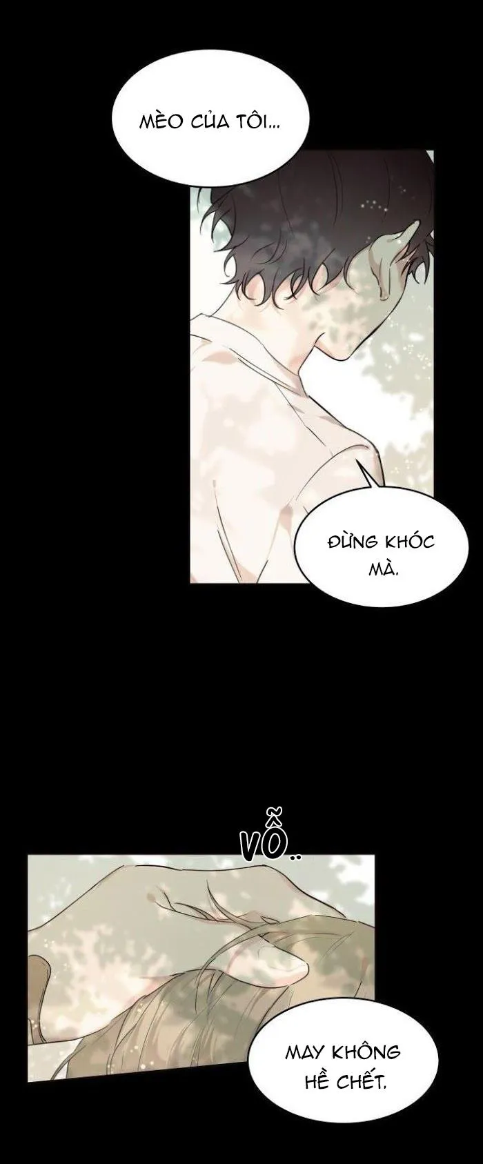 May Belongs To Me Chapter 13 Trang 16