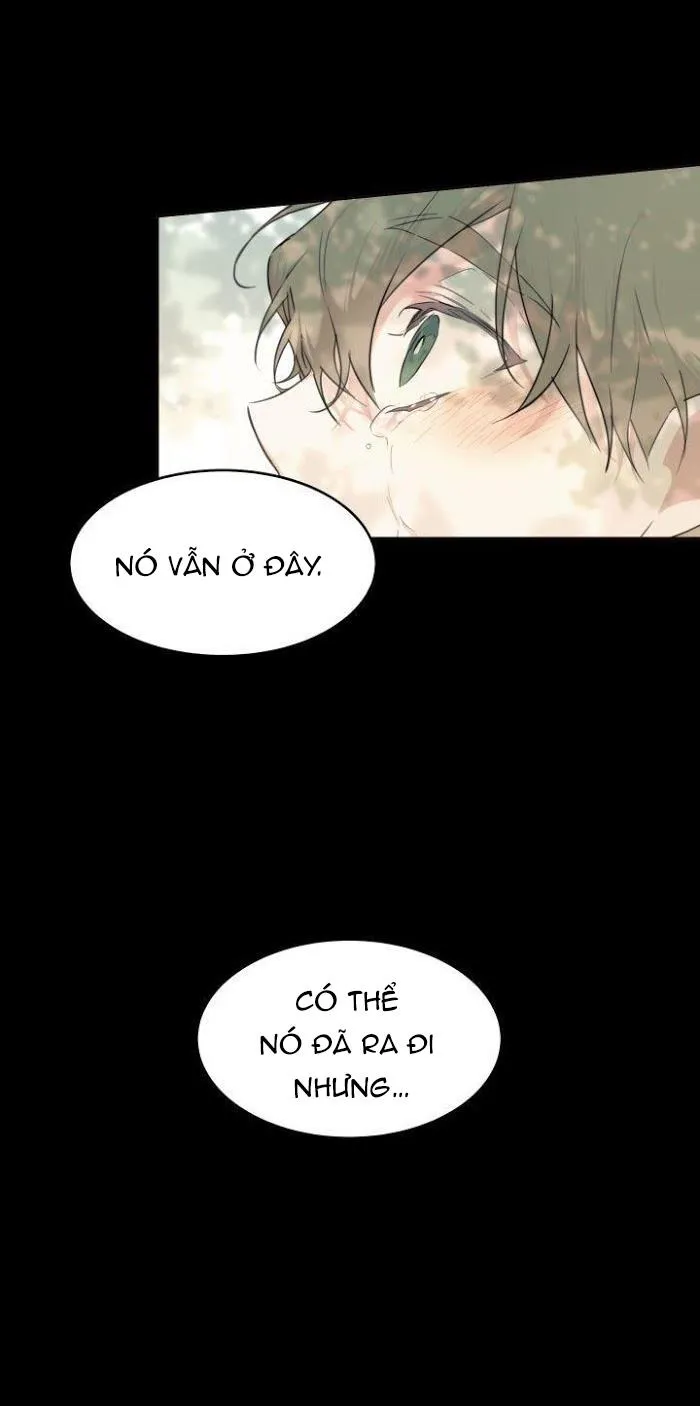 May Belongs To Me Chapter 13 Trang 17