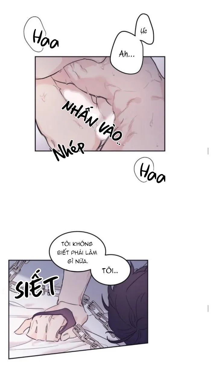 May Belongs To Me Chapter 14 Trang 4