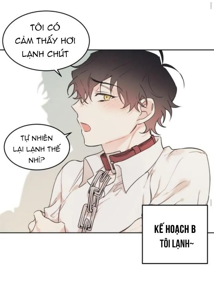 May Belongs To Me Chapter 14 Trang 21