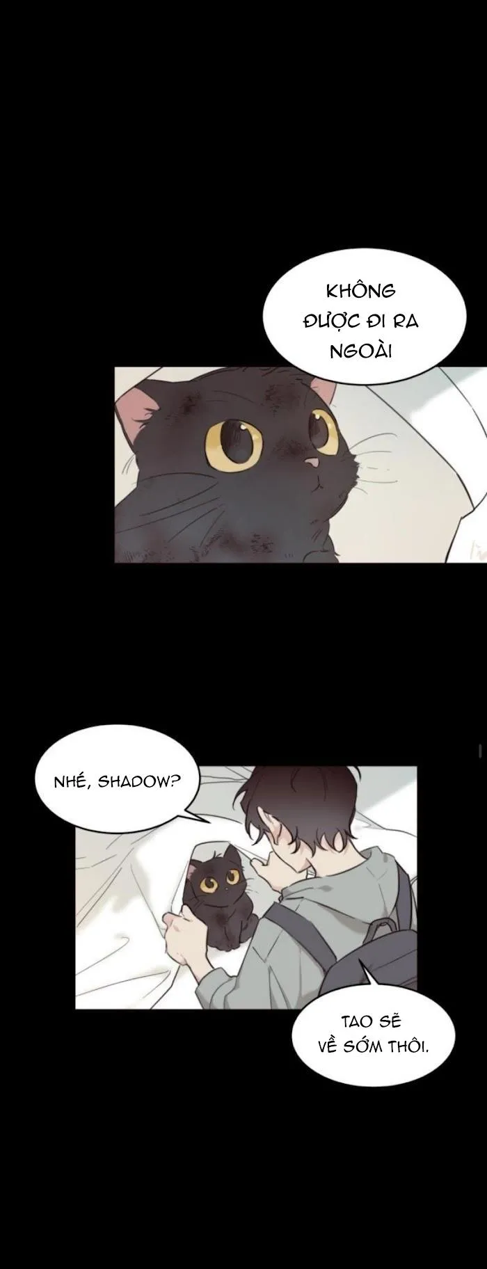 May Belongs To Me Chapter 15 Trang 8