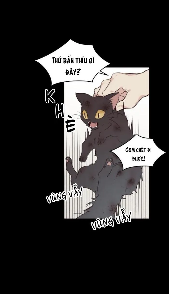 May Belongs To Me Chapter 15 Trang 10