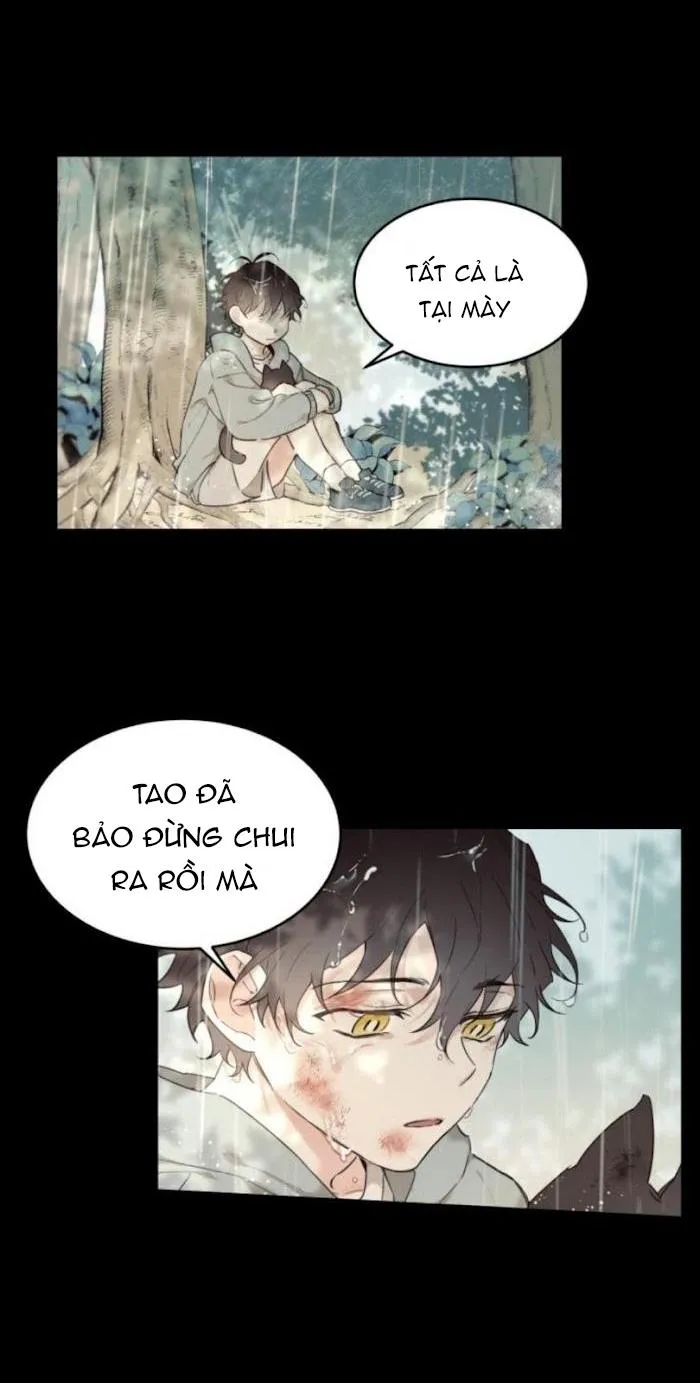 May Belongs To Me Chapter 15 Trang 12