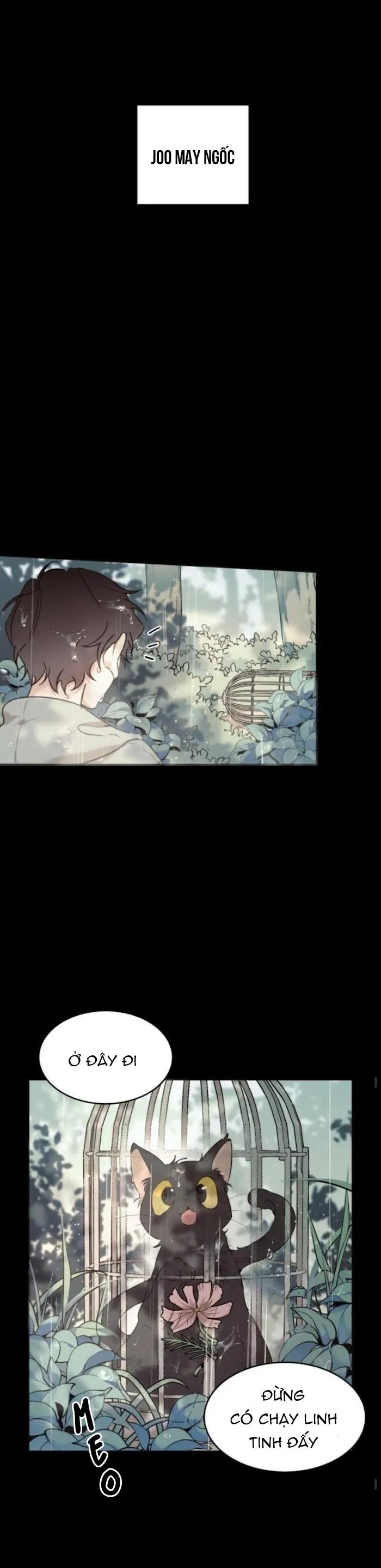 May Belongs To Me Chapter 15 Trang 13