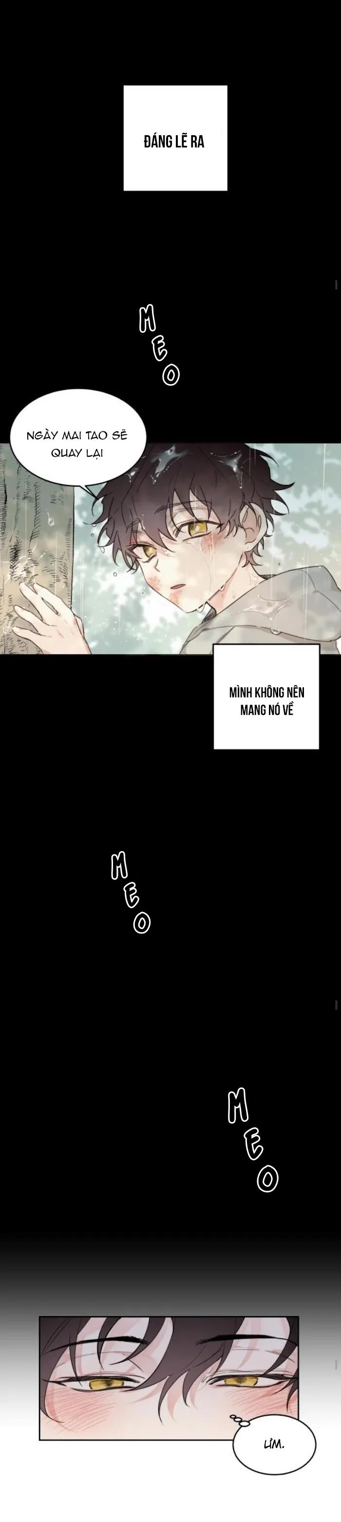 May Belongs To Me Chapter 15 Trang 14